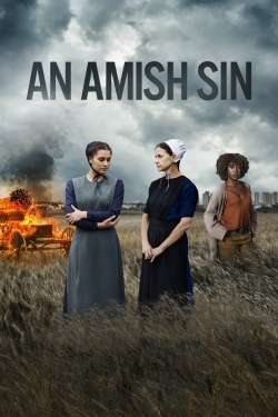 An Amish Sin-online-free