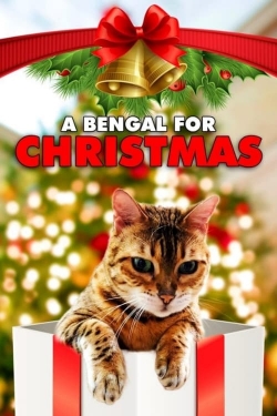 A Bengal for Christmas-online-free