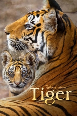 Tiger-online-free