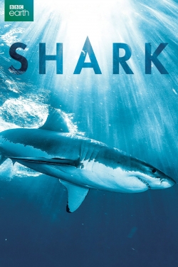 Shark-online-free