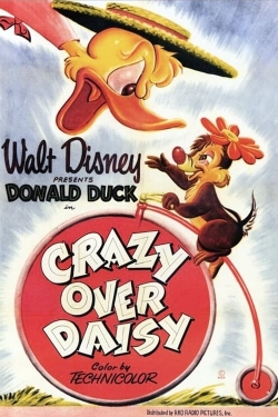 Crazy Over Daisy-online-free