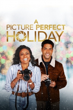 A Picture Perfect Holiday-online-free