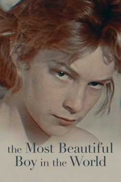The Most Beautiful Boy in the World-online-free