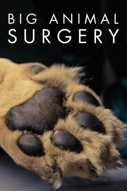 Big Animal Surgery-online-free