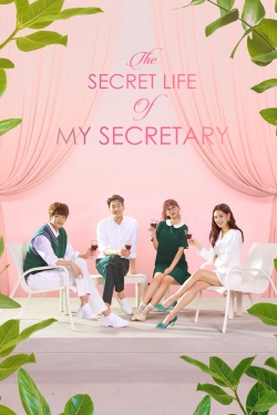 The Secret Life of My Secretary-online-free