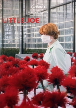 Little Joe-online-free