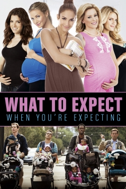 What to Expect When You're Expecting-online-free
