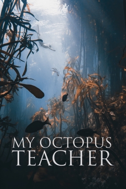 My Octopus Teacher-online-free