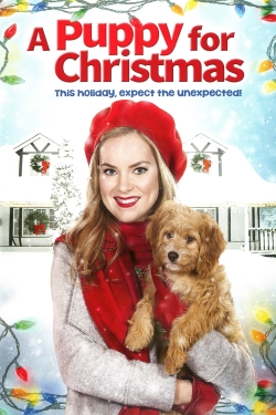 A Puppy for Christmas-online-free