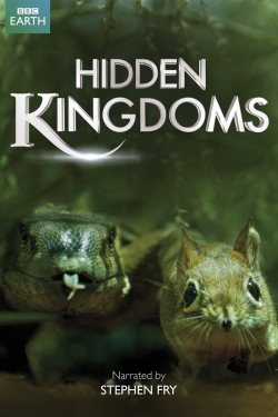 Hidden Kingdoms-online-free