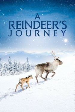 A Reindeer's Journey-online-free