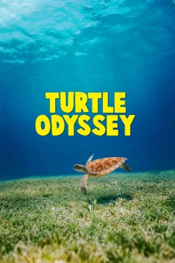Turtle Odyssey-online-free