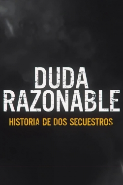 Reasonable Doubt: A Tale of Two Kidnappings-online-free