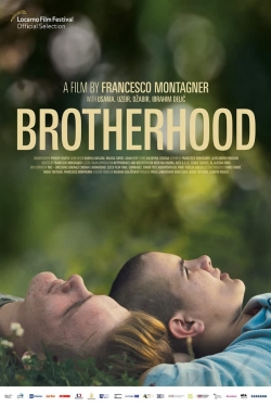 Brotherhood-online-free