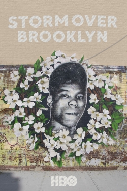 Yusuf Hawkins: Storm Over Brooklyn-online-free