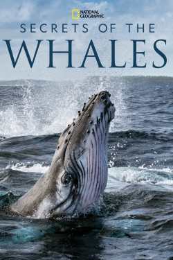 Secrets of the Whales-online-free