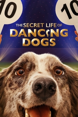 The Secret Life of Dancing Dogs-online-free