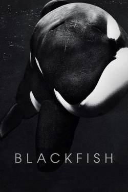 Blackfish-online-free
