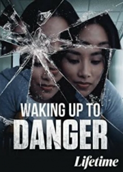 Waking Up To Danger-online-free