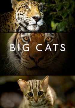 Big Cats-online-free