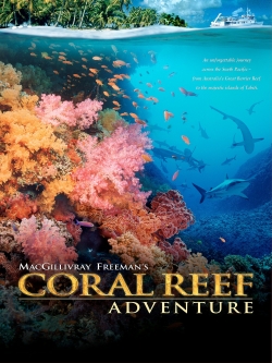 Coral Reef Adventure-online-free