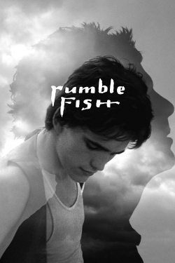Rumble Fish-online-free