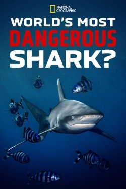 World's Most Dangerous Shark?-online-free