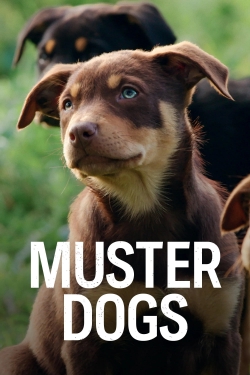 Muster Dogs-online-free