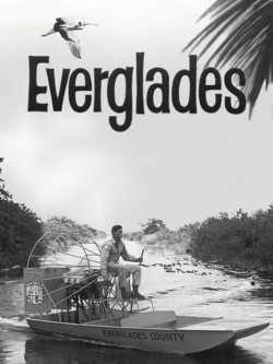 Everglades-online-free