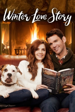 Winter Love Story-online-free