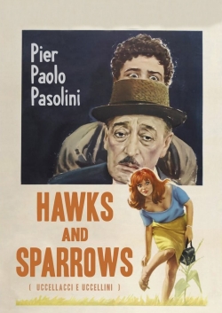 Hawks and Sparrows-online-free