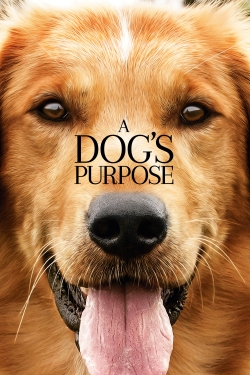 A Dog's Purpose-online-free