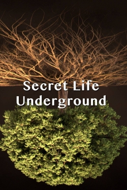 Secret Life Underground-online-free