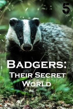 Badgers: Their Secret World-online-free