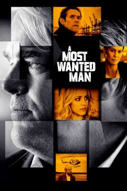 A Most Wanted Man-online-free