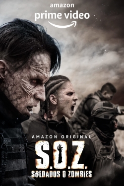 S.O.Z.: Soldiers or Zombies-online-free
