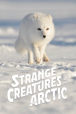 Strange Creatures of the Arctic-online-free