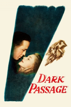 Dark Passage-online-free