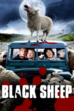Black Sheep-online-free