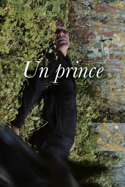 A Prince-online-free