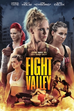 Fight Valley-online-free