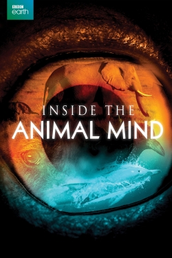 Inside the Animal Mind-online-free