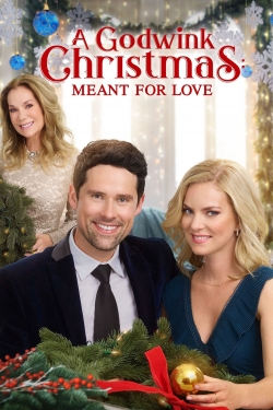 A Godwink Christmas: Meant For Love-online-free