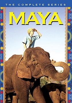 Maya-online-free