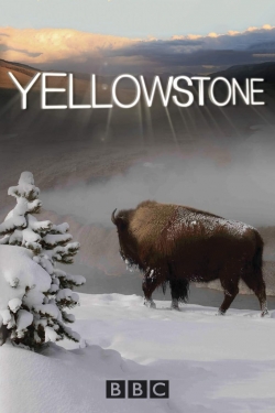 Yellowstone-online-free