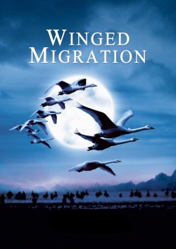 Winged Migration-online-free