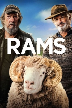 Rams-online-free