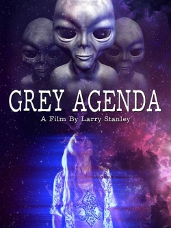 Grey Agenda-online-free