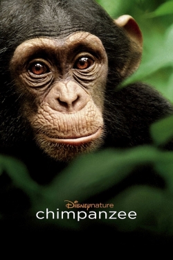 Chimpanzee-online-free