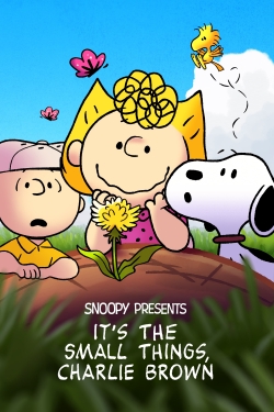 Snoopy Presents: It’s the Small Things, Charlie Brown-online-free